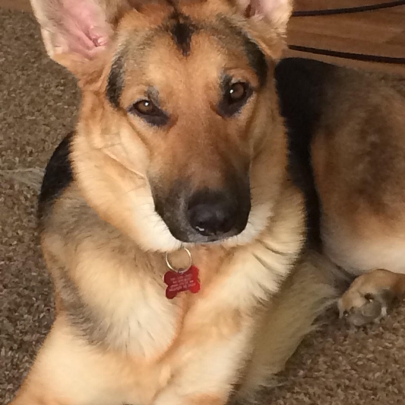 Meet your Posher, Olesia - Picture 2 of 5